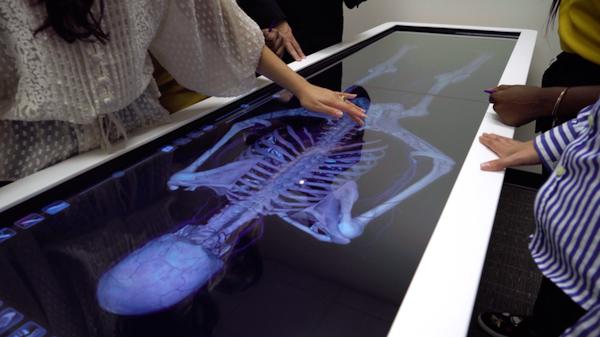 Students exploring the skeletal system on an x-ray table.